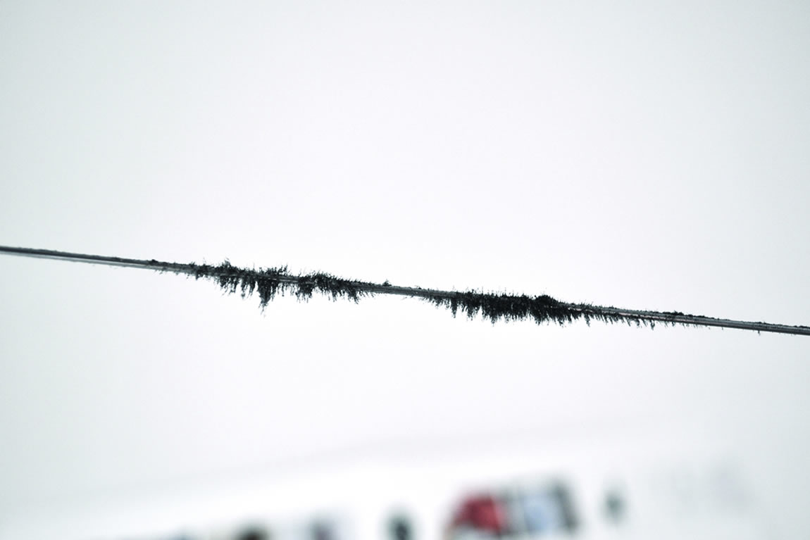 Iron Filings Clinging to Recording on Wire (photograph by Danielle Morgan)