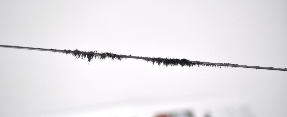 Iron filings reveal impressions of sound on piano wire (image by Danielle Morgan)