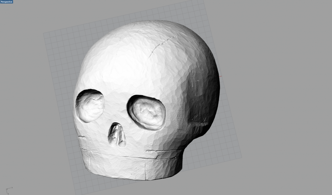 Skull_model